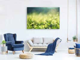 modern-3-piece-canvas-print-in-the-meadow