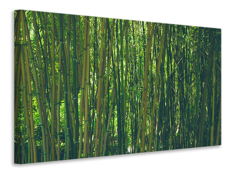 modern-3-piece-canvas-print-in-the-middle-of-the-bamboo