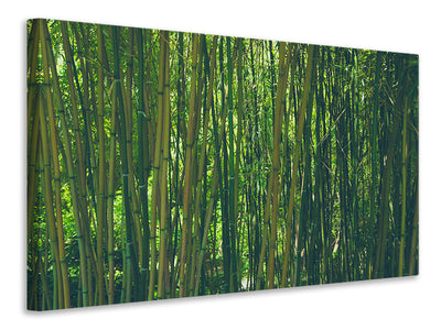 modern-3-piece-canvas-print-in-the-middle-of-the-bamboo
