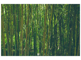 modern-3-piece-canvas-print-in-the-middle-of-the-bamboo