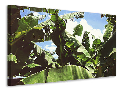 5-piece-canvas-print-in-the-middle-of-the-jungle