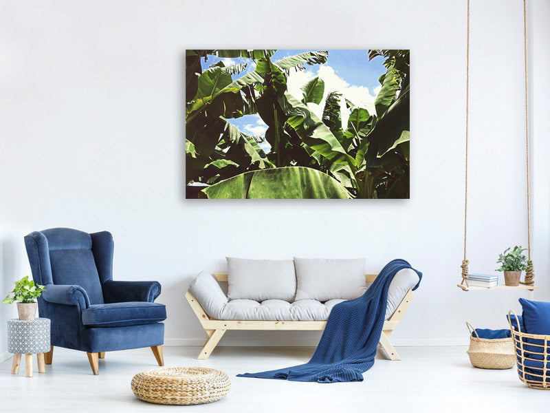 3-piece-canvas-print-in-the-middle-of-the-jungle