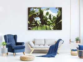 5-piece-canvas-print-in-the-middle-of-the-jungle