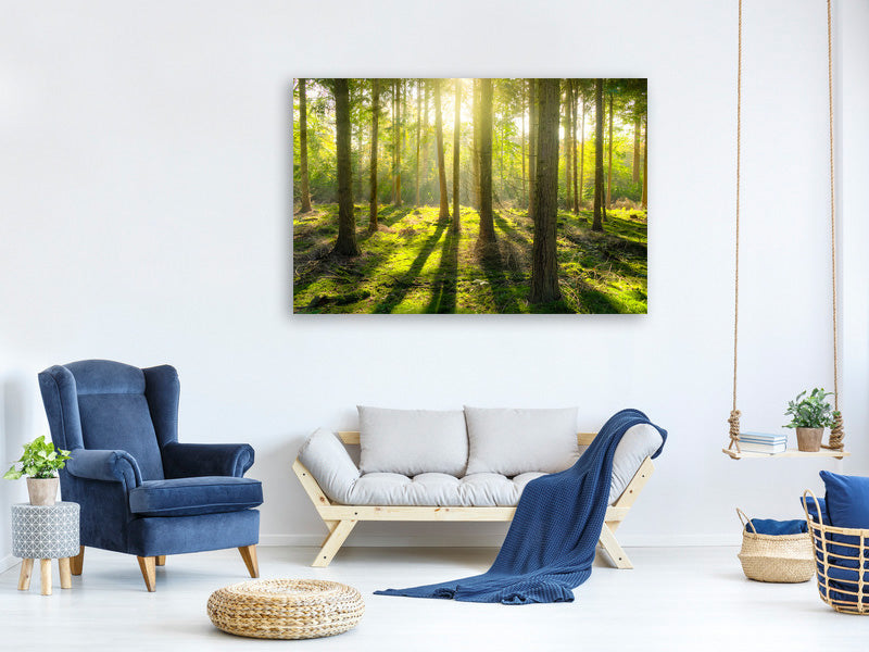 modern-3-piece-canvas-print-in-the-middle-of-the-woods
