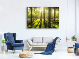 4-piece-canvas-print-in-the-middle-of-the-woods