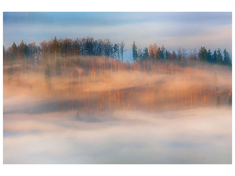 5-piece-canvas-print-in-the-morning-mists