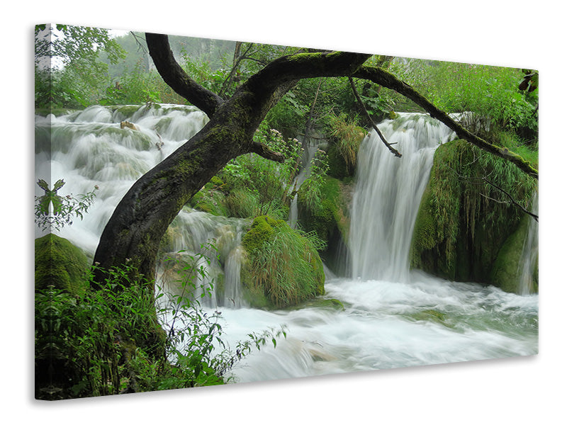 3-piece-canvas-print-in-the-national-park