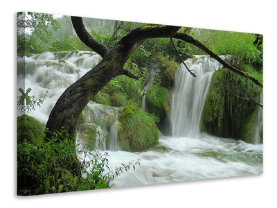 3-piece-canvas-print-in-the-national-park