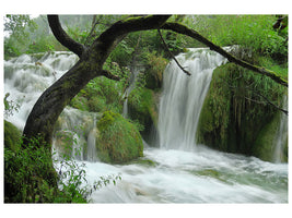 5-piece-canvas-print-in-the-national-park