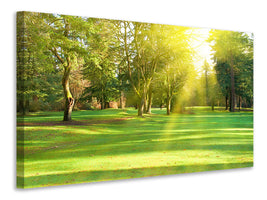 modern-4-piece-canvas-print-in-the-park