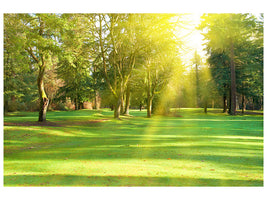 5-piece-canvas-print-in-the-park