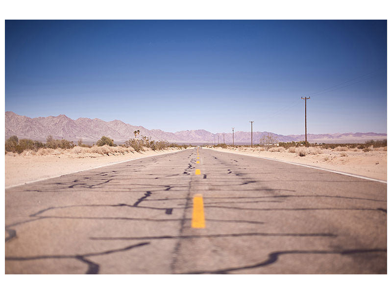 panoramic-canvas-print-in-the-usa