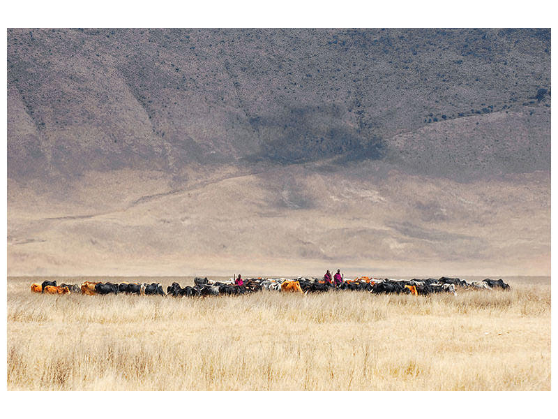 3-piece-canvas-print-incredible-maasai