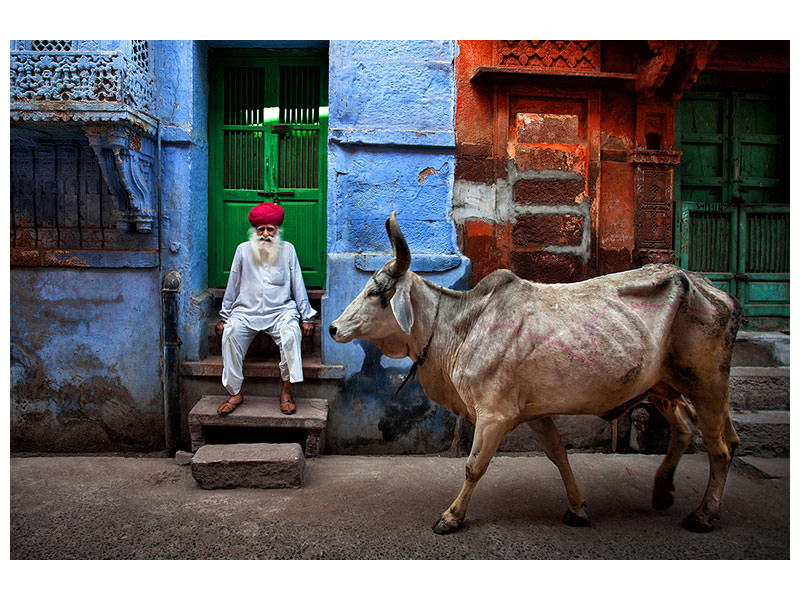5-piece-canvas-print-india