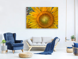 3-piece-canvas-print-inflorescence-of-a-sunflower