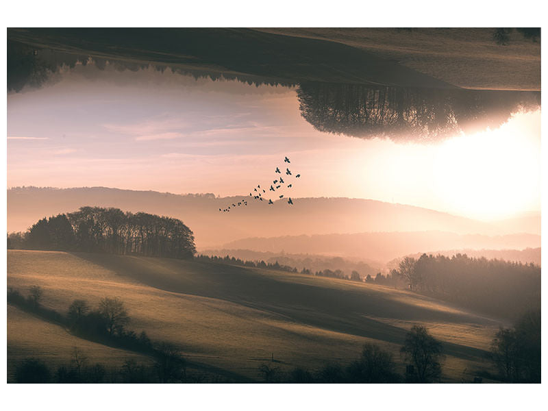 4-piece-canvas-print-interplanar
