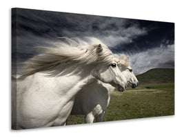 modern-4-piece-canvas-print-interplay