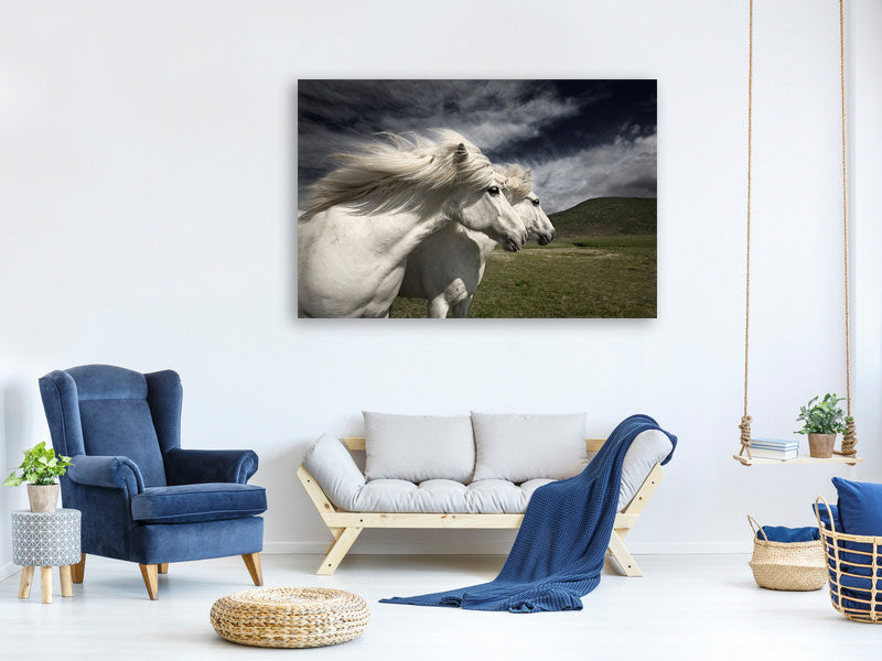 panoramic-canvas-print-interplay