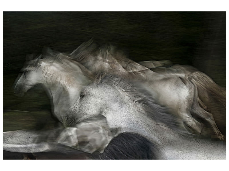 panoramic-3-piece-canvas-print-into-the-dark