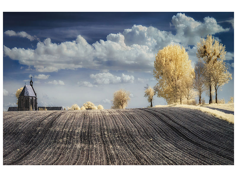 4-piece-canvas-print-irenkowo-ii