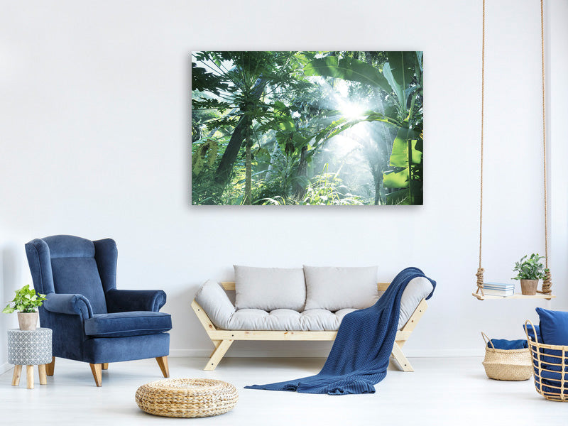 5-piece-canvas-print-jungle-star