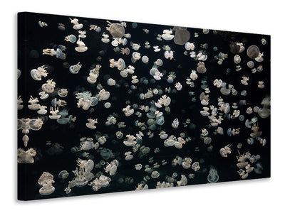modern-3-piece-canvas-print-just-some-jellies