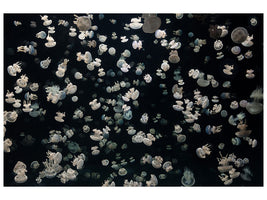 modern-3-piece-canvas-print-just-some-jellies