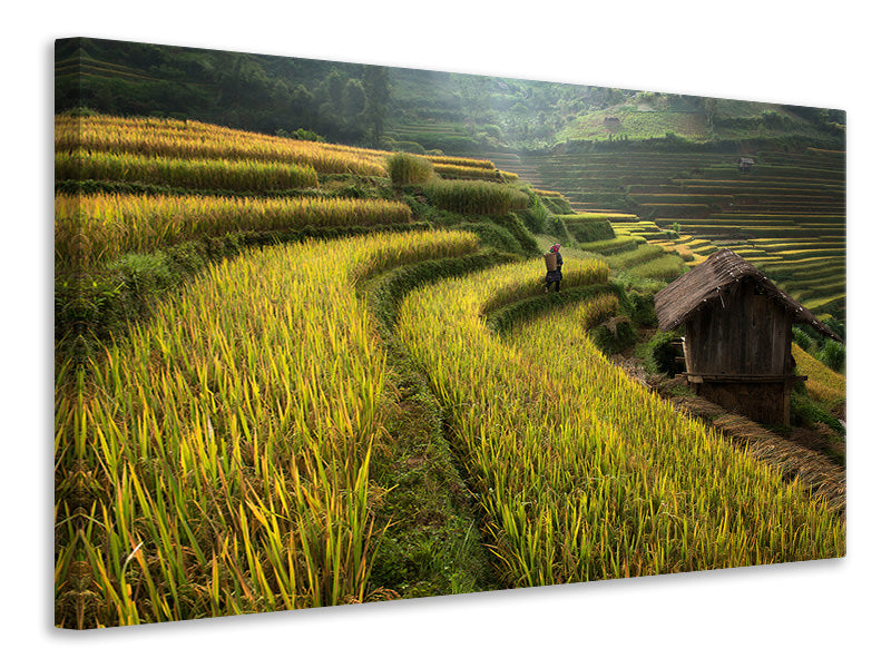 3-piece-canvas-print-keep-walking
