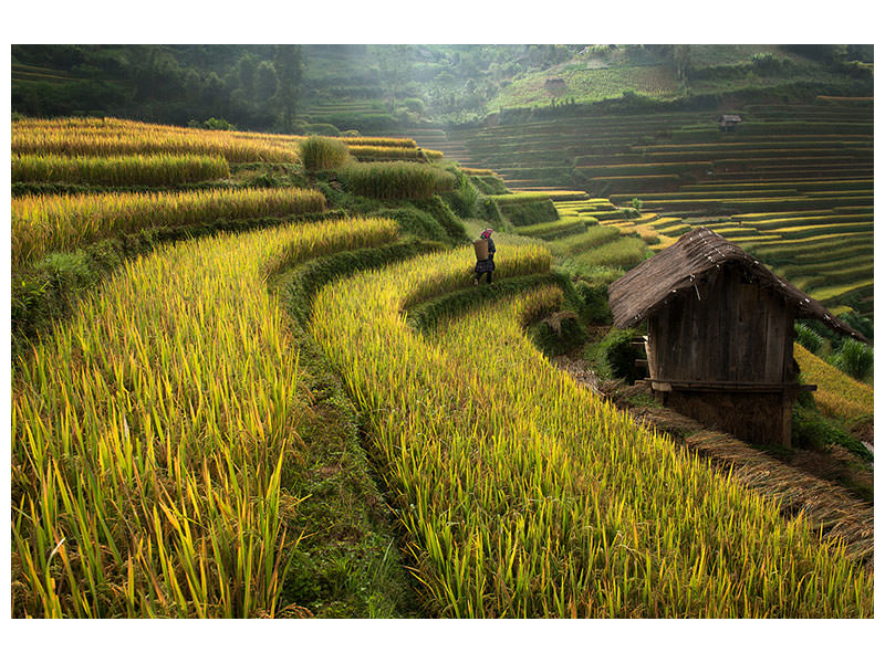 panoramic-canvas-print-keep-walking