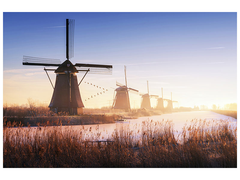 modern-4-piece-canvas-print-kinderdijk-iv