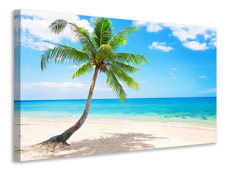 3-piece-canvas-print-koh-lanta
