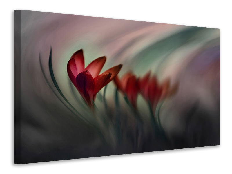 modern-4-piece-canvas-print-krokus