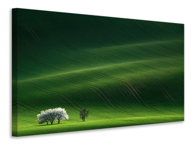 panoramic-3-piece-canvas-print-ladies-in-white