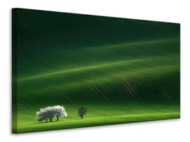 panoramic-canvas-print-ladies-in-white