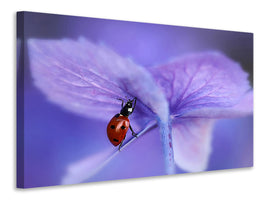 3-piece-canvas-print-ladybird-on-purple-hydrangea