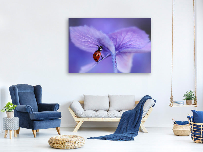 modern-4-piece-canvas-print-ladybird-on-purple-hydrangea