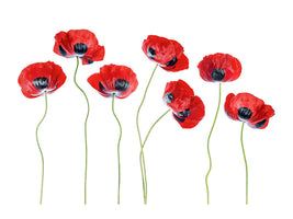 modern-4-piece-canvas-print-ladybird-poppies