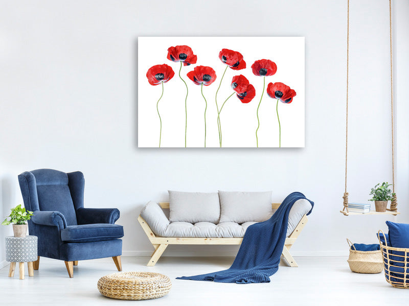 5-piece-canvas-print-ladybird-poppies