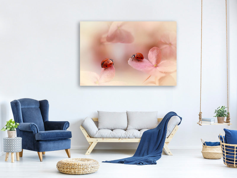 panoramic-canvas-print-ladybirds-on-pink-hydrangea