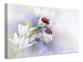 modern-3-piece-canvas-print-ladybirds
