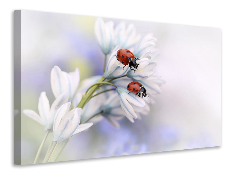 modern-3-piece-canvas-print-ladybirds