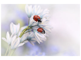 3-piece-canvas-print-ladybirds