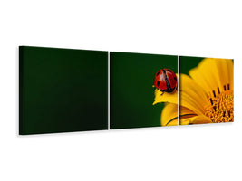 panoramic-canvas-print-ladybug-on-the-sunflower