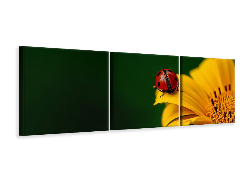 3-piece-canvas-print-ladybug-on-the-sunflower