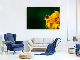 panoramic-3-piece-canvas-print-ladybug-on-the-sunflower