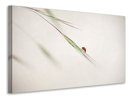 modern-4-piece-canvas-print-ladybug
