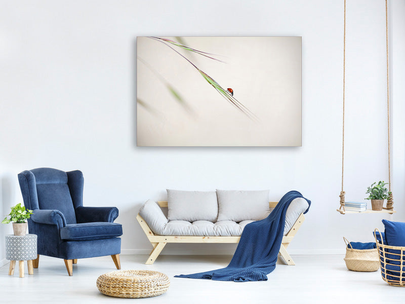 5-piece-canvas-print-ladybug