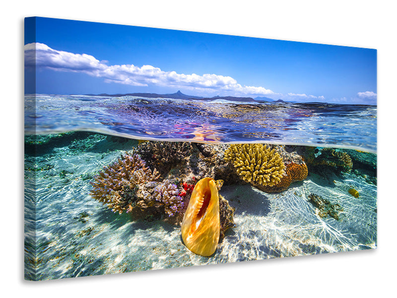 4-piece-canvas-print-lagoon-life