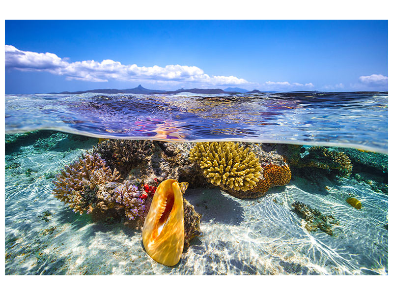 modern-4-piece-canvas-print-lagoon-life
