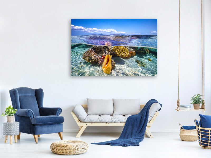 3-piece-canvas-print-lagoon-life
